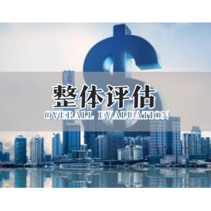 整体评估